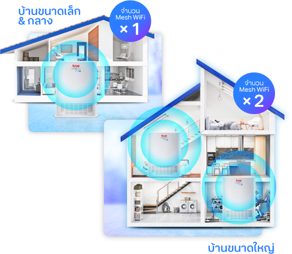Mesh WiFi Feature